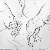 pose studies