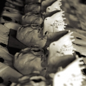 reconstruction_skulls_markers_top.jpg