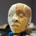 the final facial reconstruction