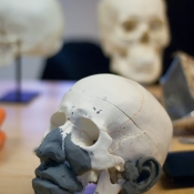 portraiture-course-reconstruction-9.jpg